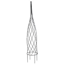 Espalier kegle 24 x 120 cm